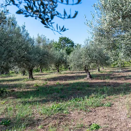 La Casa Di Maurizio Apartment *